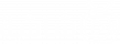 Shasheh_Logo_Invert